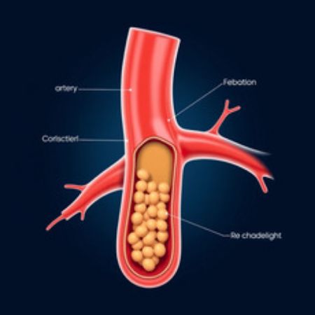 Picture for category Cholesterol Support