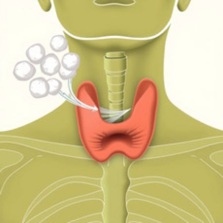 Picture for category Thyroid Support